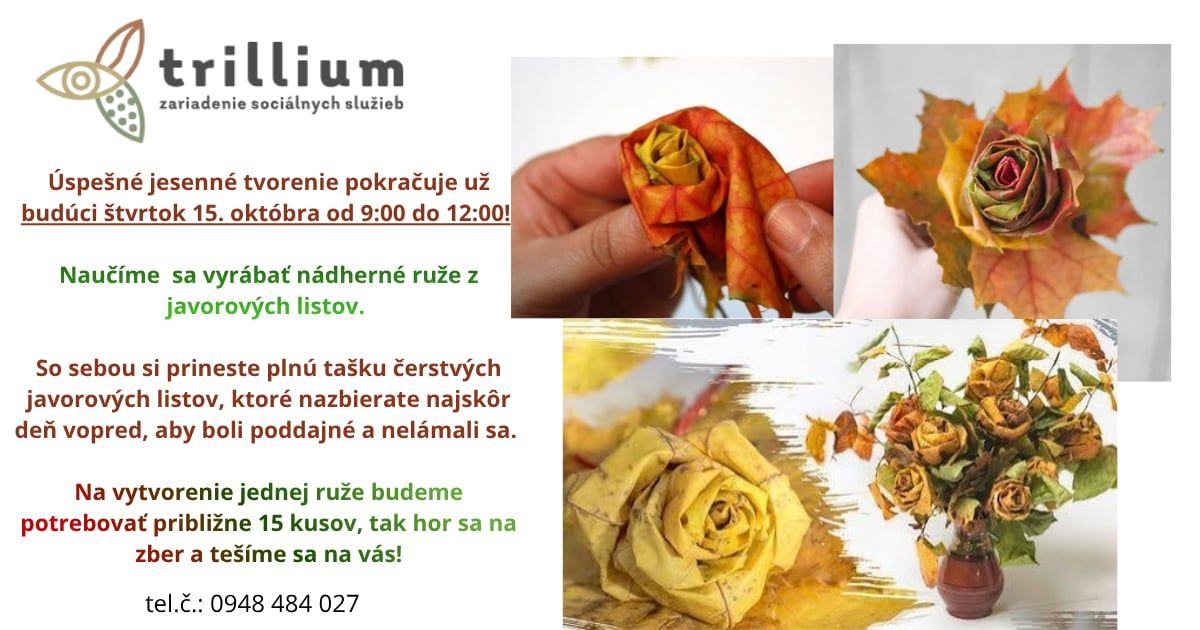 Trillium - Zariadenie sociálnych služieb